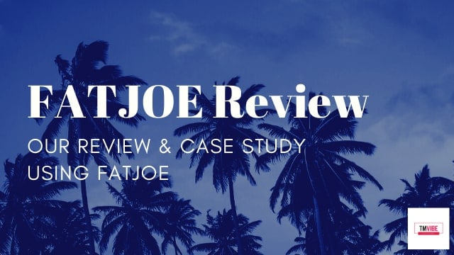 FATJOE REVIEW - SEO AND CONTENT AGENCY