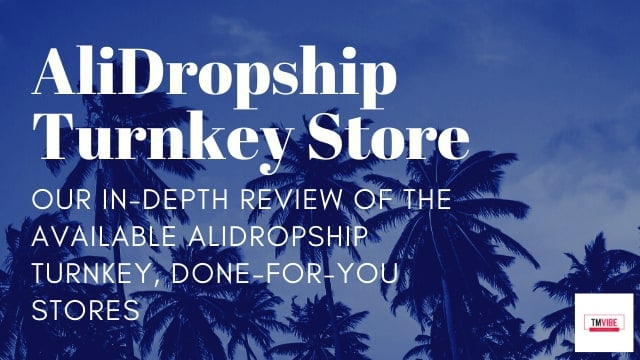 AliDropship done for you turnkey store review and case study